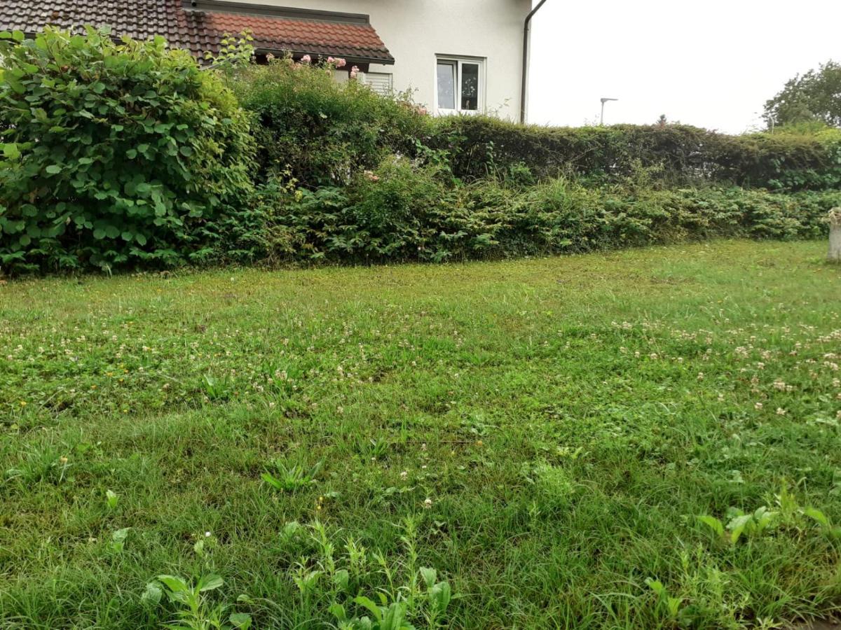 Ferienwohnung Am Kurpark, Gailingen am Hochrhein Extérieur photo